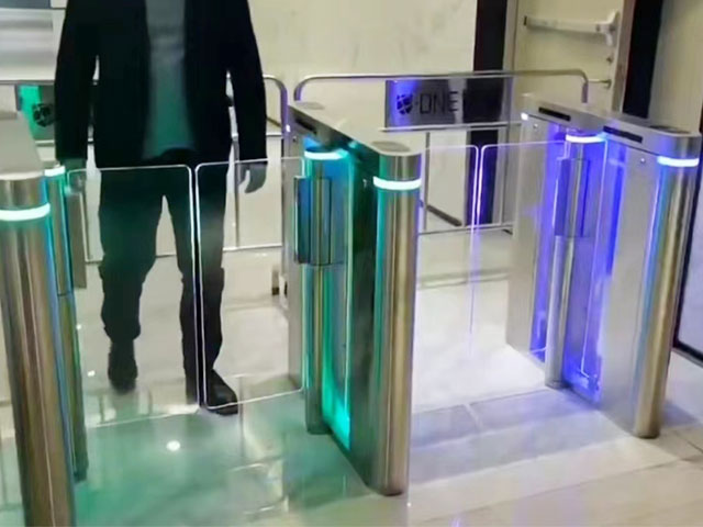 ʶϵͳ